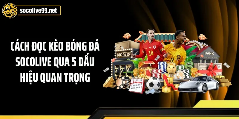 Cách Đọc Kèo Bóng Đá Socolive Qua 5 Dấu Hiệu Quan Trọng